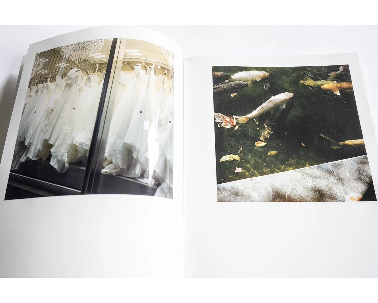 Instant Light: Tarkovsky Polaroids — bookdummypress
